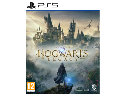 PS5 Hogwarts Legacy