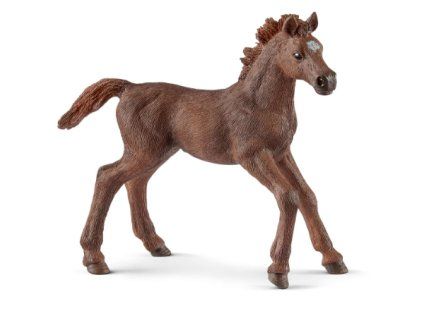 Schleich 13857 Hříbě anglického plnokrevníka