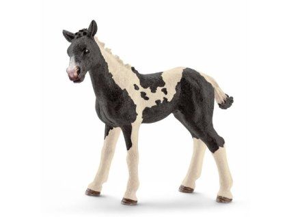 Schleich 13803 Pinto hříbě