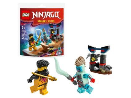Lego Ninjago 30700 Dragons Rising