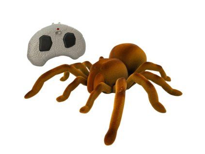 Interaktivní Pavouk tarantule