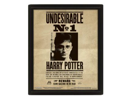 Obraz Harry Potter Sirius Black 3D