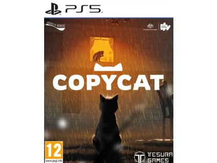 PS5 Copycat