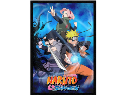 Plakát Naruto Shippuden Characters 91cm