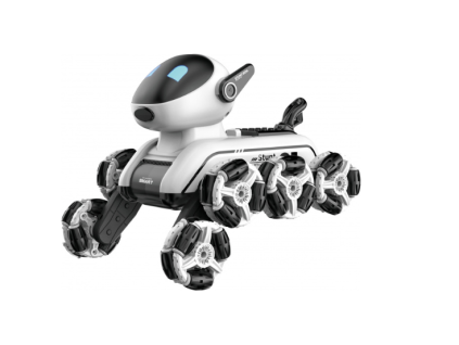 RoboDog Fleg