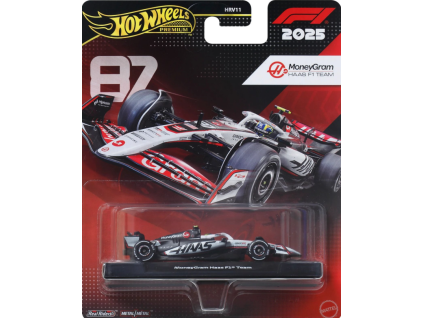 Hot Wheels Premium MoneyGram Haas F1 team