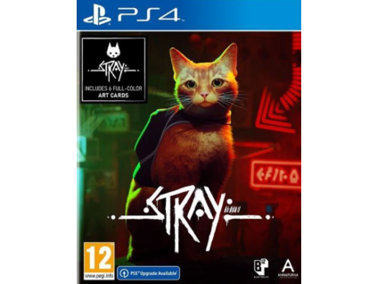 PS4 Stray