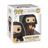 Funko Pop! 171 Harry Potter Rubeus Hagrid