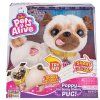 Pets Alive Tančící mops