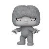 Funko Pop! 1583 The Twilight Zone The Gremlin1