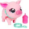 Zvířátko Little Live Pets Prasátko1