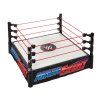 WWE Main Event Ring1