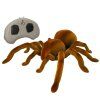 Interaktivní Pavouk tarantule