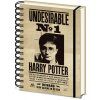 Merch Měnící zápisník A5 Harry Potter Sirius and Harry